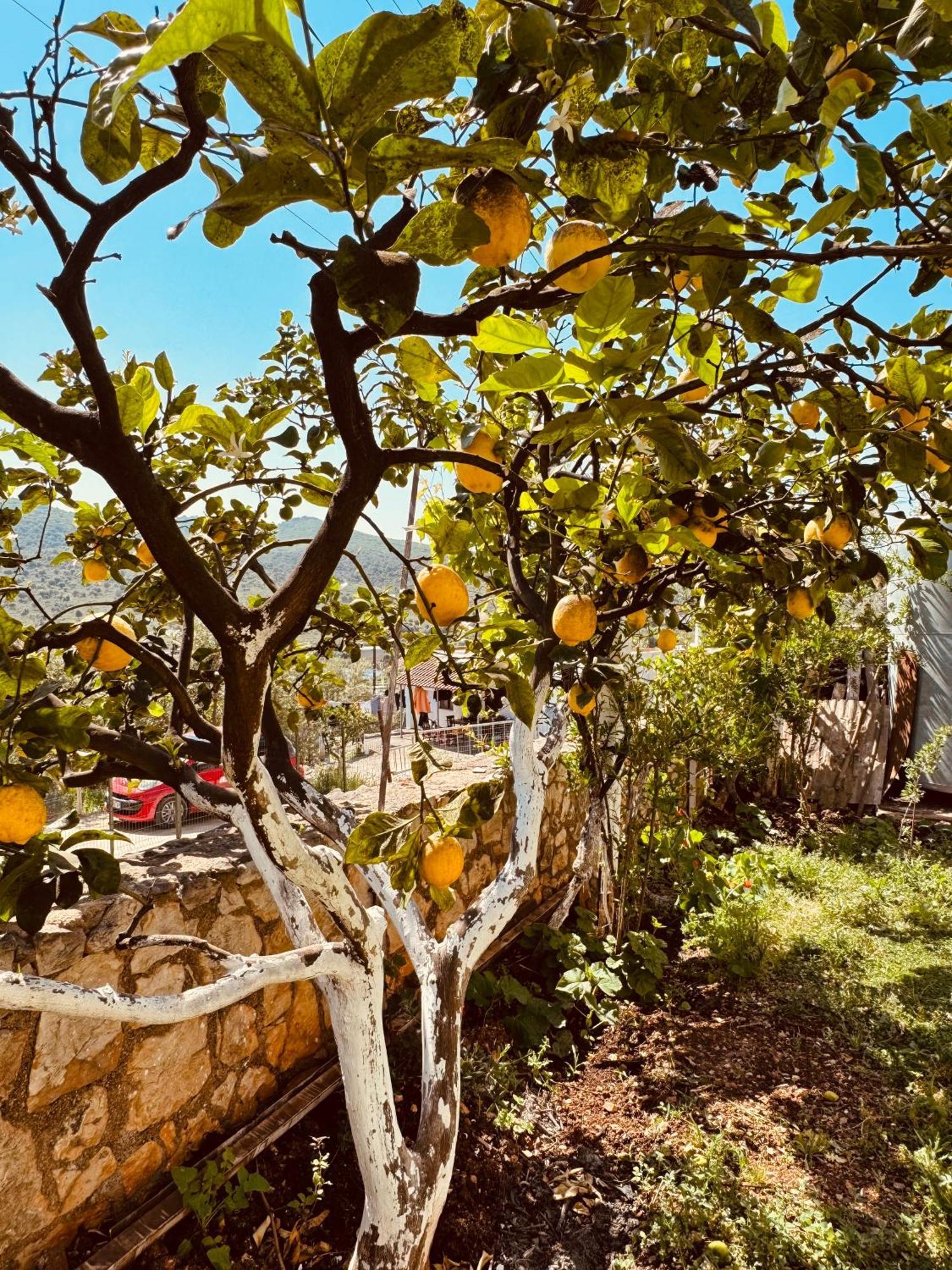 Orfeu Apartments Ksamil Dış mekan fotoğraf