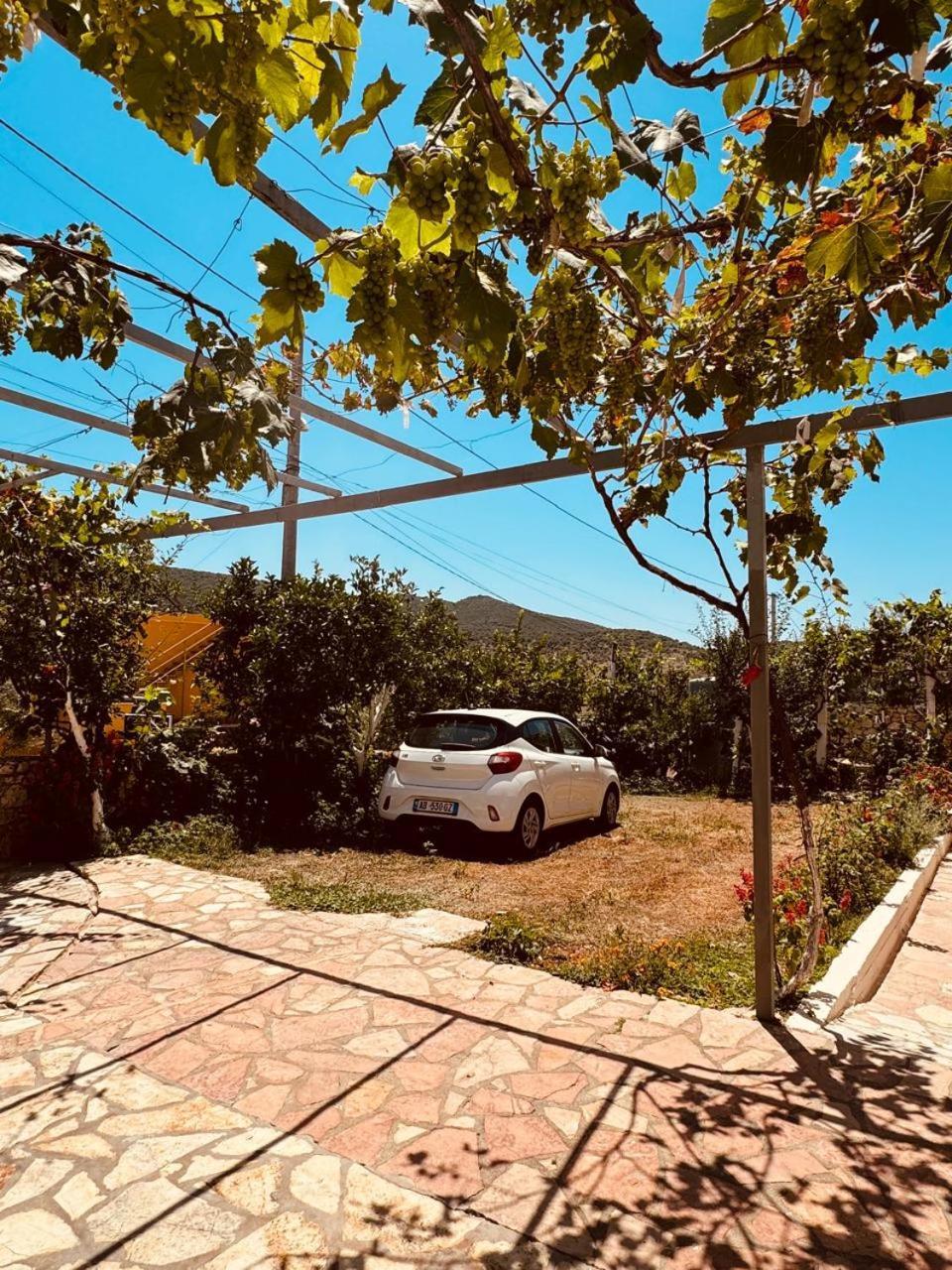 Orfeu Apartments Ksamil Dış mekan fotoğraf